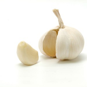 Garlic