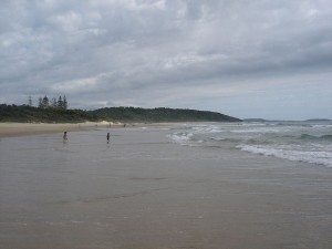 800px-Sawtell2