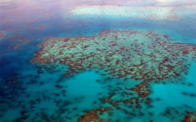 FUNDING INCREASE FOR GREAT BARRIER REEF