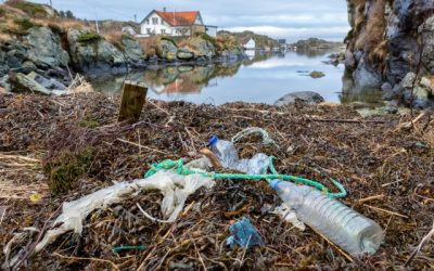 Why Australia Is Cracking Down On Plastic