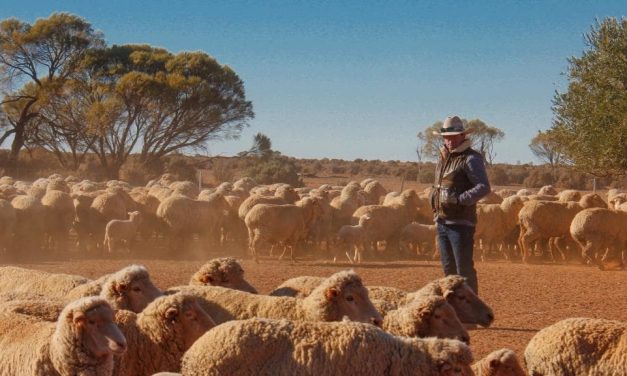 Drought Relief for Farmers