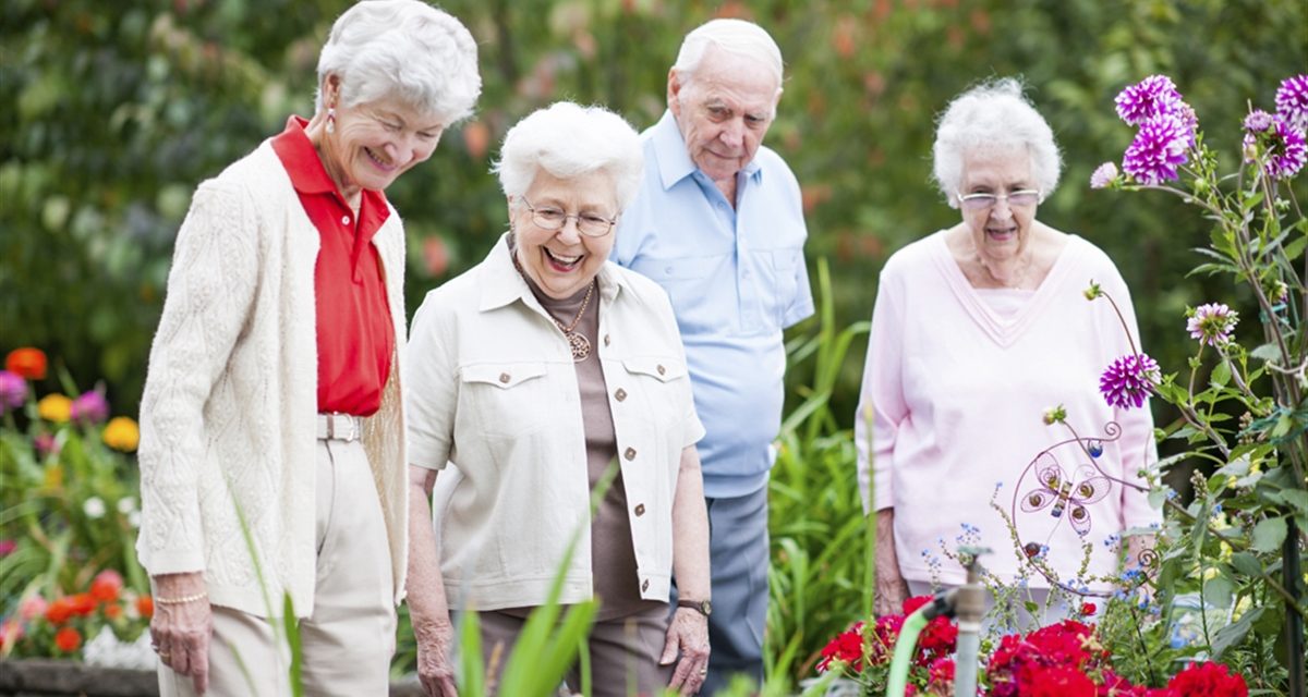 What’s On This Senior’s Festival