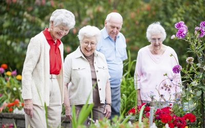 What’s On This Senior’s Festival