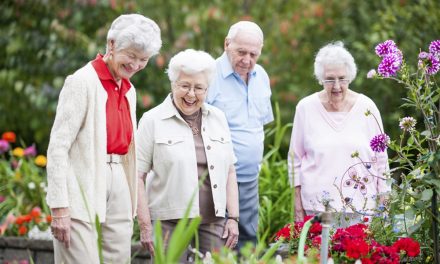 What’s On This Senior’s Festival