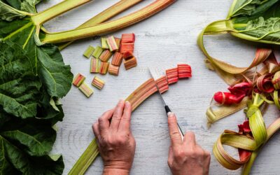 Rhubarb and Mint Sodas