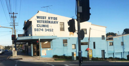 WEST RYDE VETERINARY CLINIC ACQUIRED BY GREENCROSS