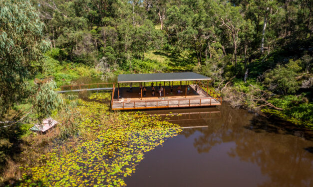 Once a Jolly Jay Camped by a Billabong